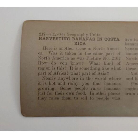 Keystone View card Harvesting Bananas In Costa Rica Photo Card - Picture 6 of 8